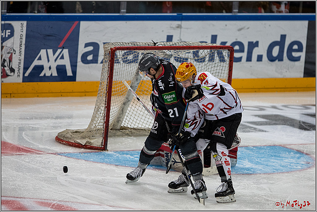 DEL, Koelner Haie - Fishtown Pinguins Bremerhaven, 29.01.2017